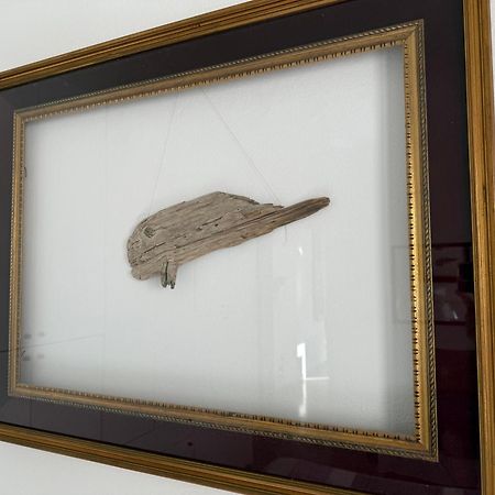 Apartmán Il Pesce Di Legno Livorno Exteriér fotografie
